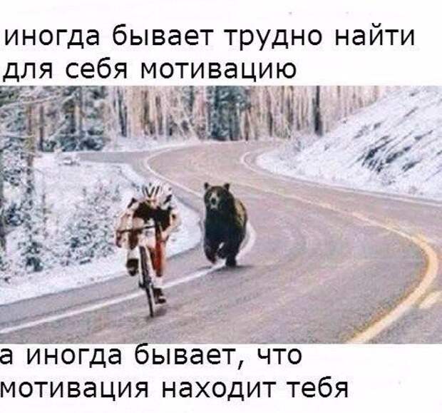 Новая коллекция прикольных фотомемов (37 шт)