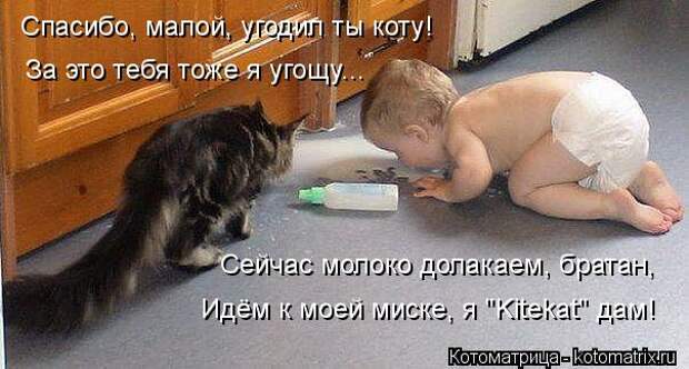 Котоматрица: Спасибо, малой, угодил ты коту! За это тебя тоже я угощу... Сейчас молоко долакаем, братан, Идём к моей миске, я "Kitekat" дам!