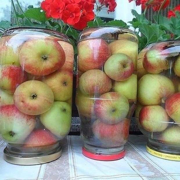 ЯБЛОКИ МОЧЕНЫЕ