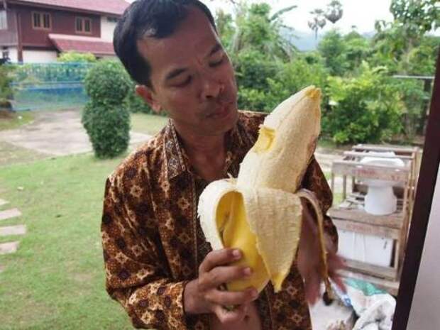 Дикий банан. Самые редкие и необычные сорта бананов