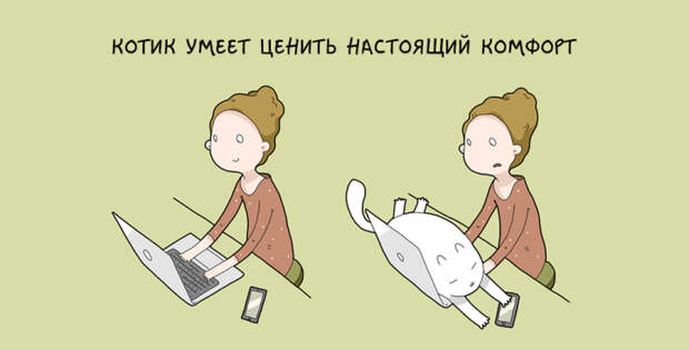 забавные причины завести кота