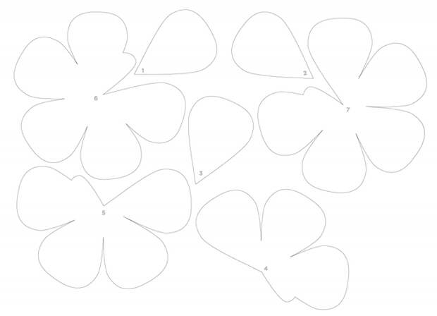 Розы из бумаги. Готовые шаблоны для распечатки (7) (700x506, 64Kb)