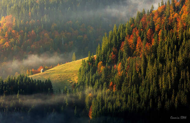 Горы Апушень