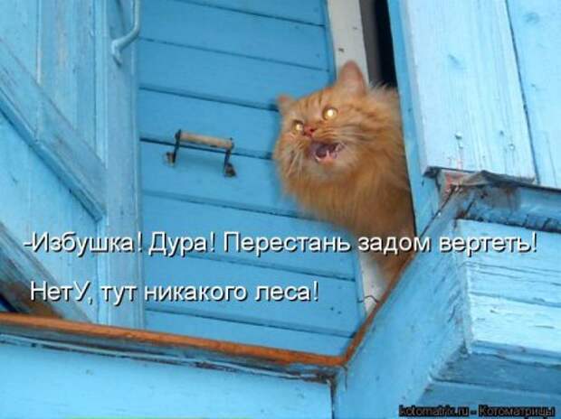 Забавные котоматрицы