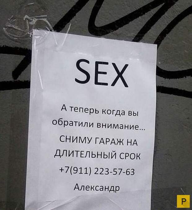 Забавные объявления об аренде и прокате (24 фото)