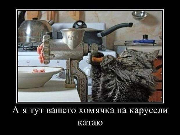 Демотиваторы (30 фото)