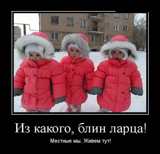 Демотиваторы демотиваторы, прикол, смех, юмор