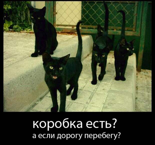 Подборка классных демотиваторов № 117