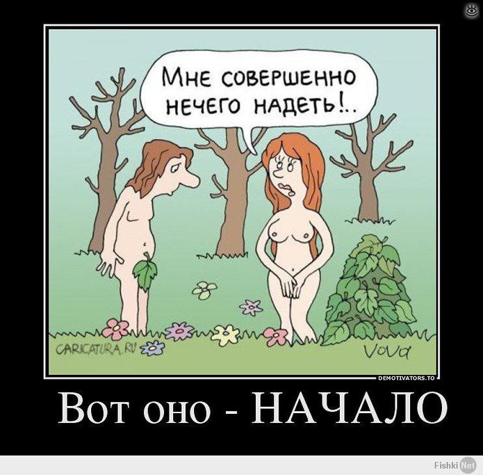 Не сдавайся никогда! 0
