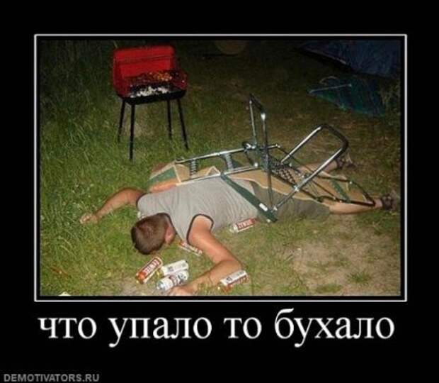 Смешные демотиваторы, веселые картинки с надписями!