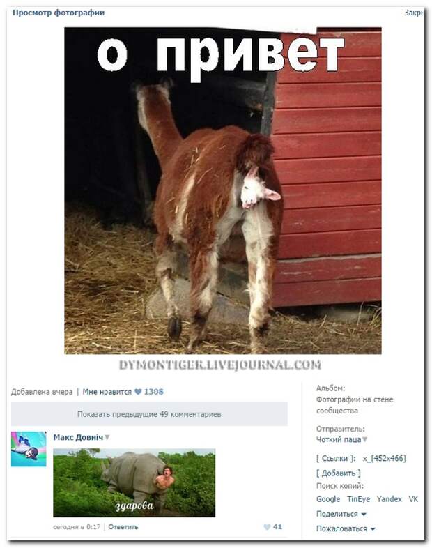 Смешные комментарии из социальных сетей 02.10.14 комментарии, прикол, соцсети, юмор