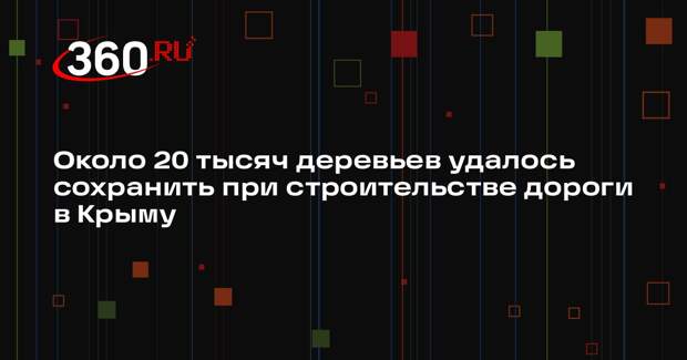 Около 20 тысяч деревьев удалось сохранить при строительстве дороги в Крыму