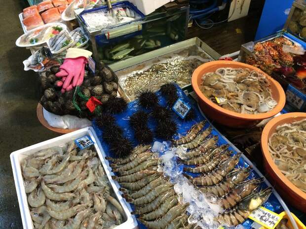 Норянджин: рыбный рынок Сеула с мировой известностью корея, рыба, сеул, фоторепортаж
