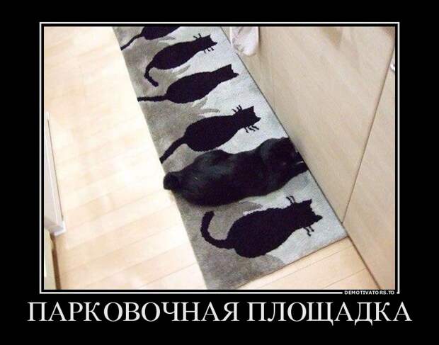 Подборка  демотиваторов демотиваторы, юмор