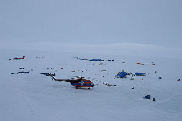 Московские школьники поплавают на арктических льдах