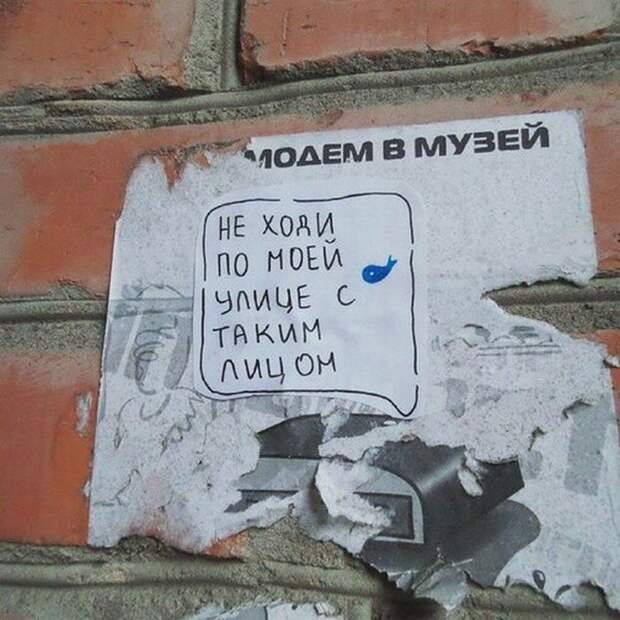 Надписи и объявления на наших улицах (41 фото)
