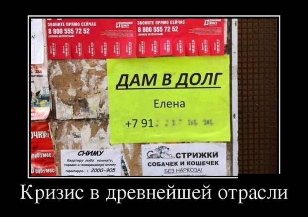 Демотиваторы (30 фото)