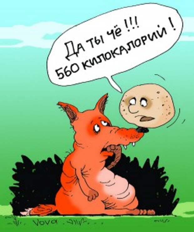 Факты о лишнем весе