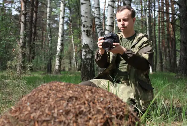 Учёный из Щукина рассказал о муравьях-рабовладельцах