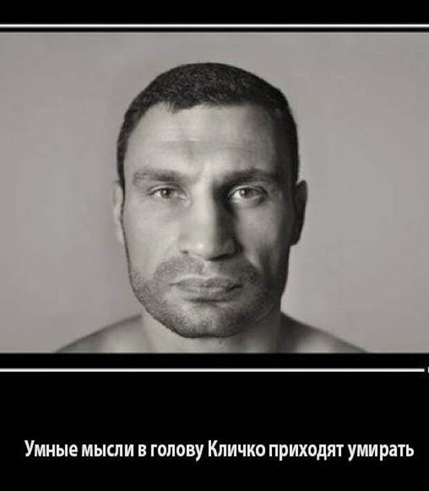 Кличкизмы. Всем лёгкой недели :)