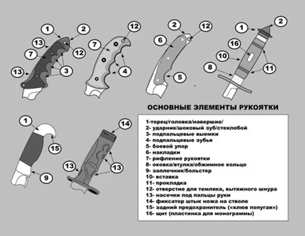 Анатомия ножа схема