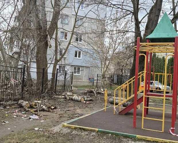 В Туле на детской площадке у дома №27 по ул. Демонстрации не убраны бревна после опиловки