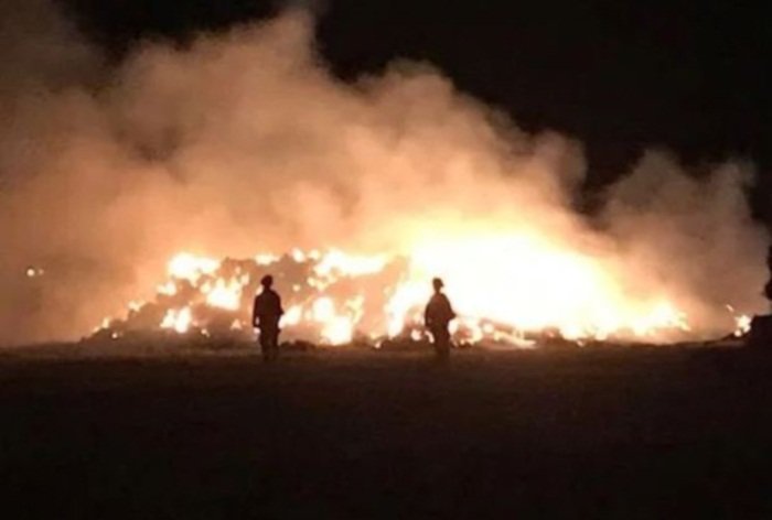 Американка сожгла поле, "чтобы остановить зомби-апокалипсис" ynews, зомби-апокалипсис, погоня, поджег, психи
