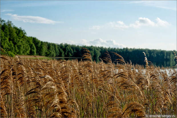 Русская природа