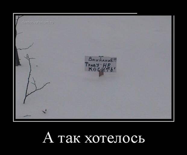 Демотиваторы (30 фото) Демотиваторы (30 фото)