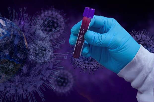 Учёные открыли антитела, нейтрализующие омикрон