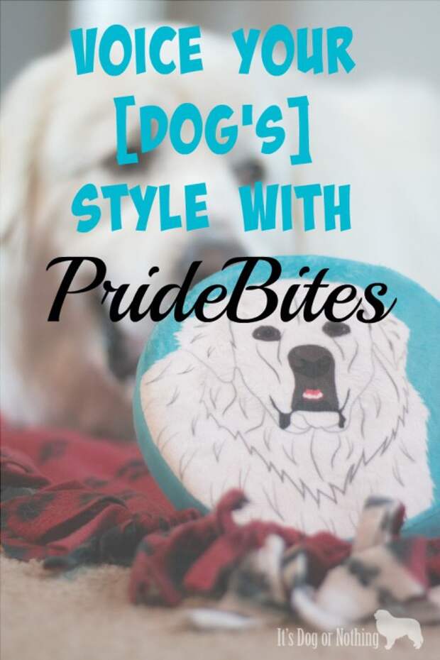 Have you tried the personalized pet products from #PrideBites? Not much better than a custom frisbee with a handsome Great Pyrenees on it! Check out why we love PrideBites and their appearance on ABC's Shark Tank!
