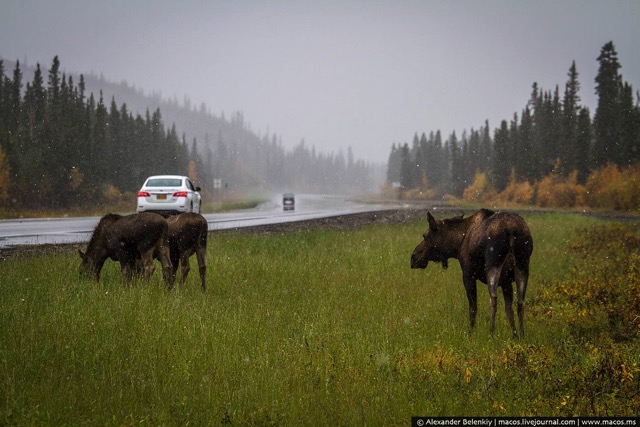 LR2015.09-US-AlaskaReasons-7