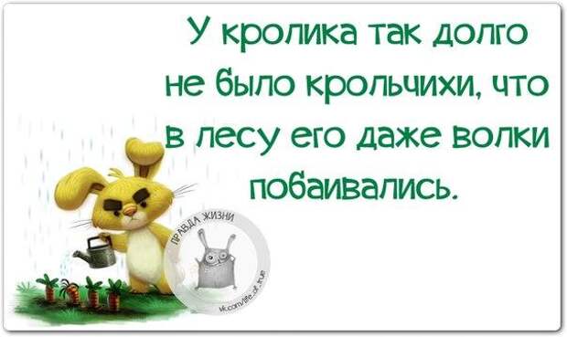 У кролика так долго не было крольчихи, что в лесу его даже волки побаивались