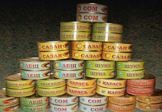 Фоторепортаж. Подделки продуктов питания в пищевой промышленности Фоторепортаж. Подделки продуктов питания в пищевой промышленности магазин, отрава, подделка, продукты