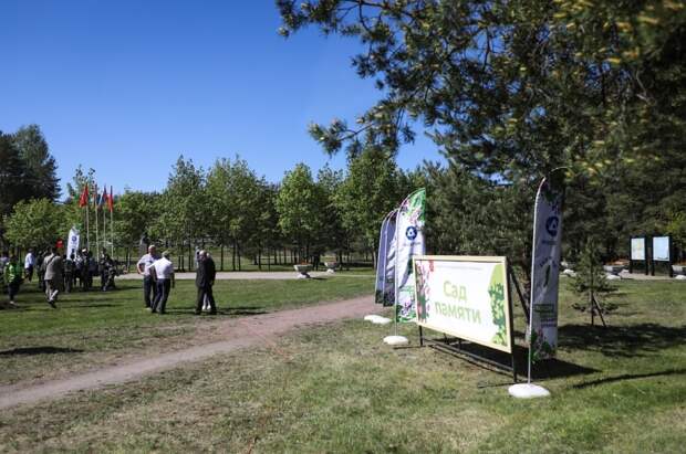 Александр Беглов рассказал, сколько деревьев было высажено в Петербурге в рамках акции «Сад памяти»