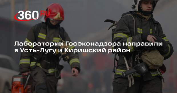 Лаборатории Госэконадзора направили в Усть-Лугу и Киришский район