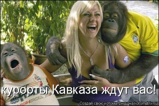 Мысли вслух :)
