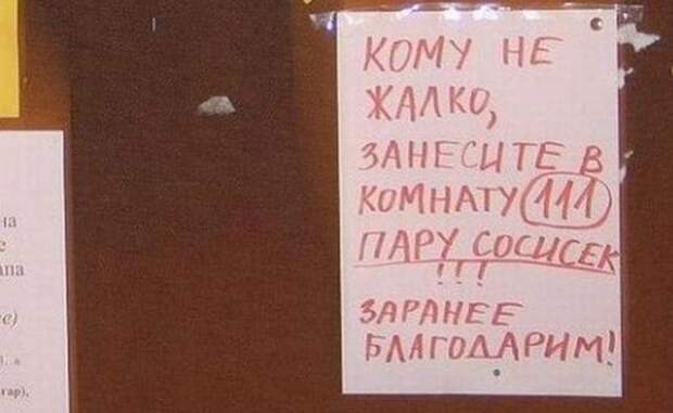 Надписи и приколы картинки, фото