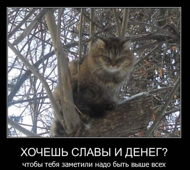 Демотиваторы (42 фото)