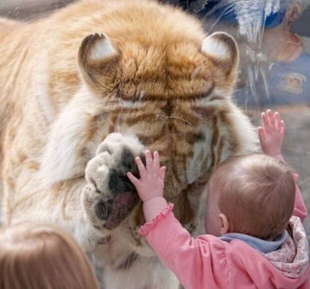 фотографии которые никого не оставят равнодушным (14)