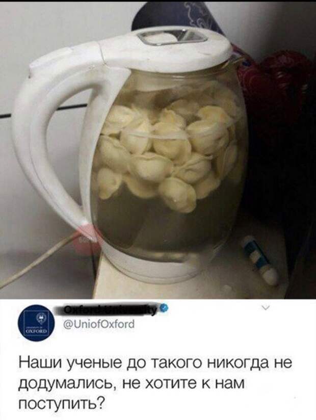 Прикольные и забавные картинки с надписями