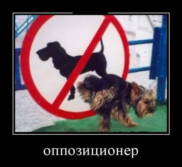 Демотиваторы