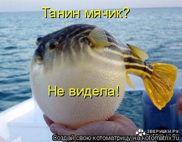 Позитив зверский с забавными надписями Позитив зверский с забавными надписями