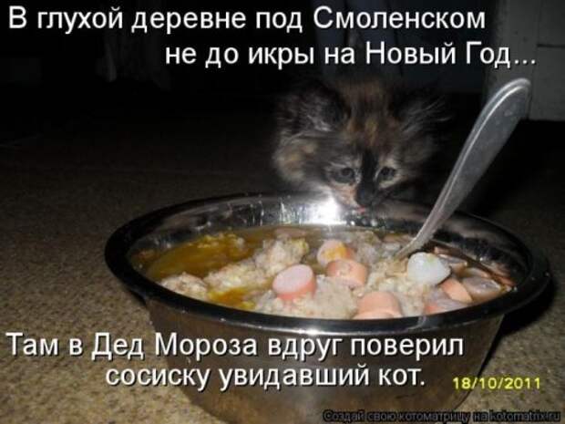 Прикольные котоматрицы (23 шт) Прикольные котоматрицы (23 шт)