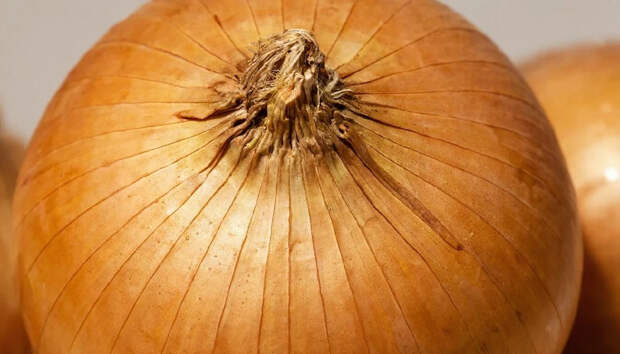 Юрист предупредил, чем грозит обдирание лука в магазине для покраски яиц