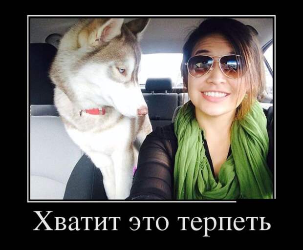 Демотиваторы (30 фото) Демотиваторы (30 фото)