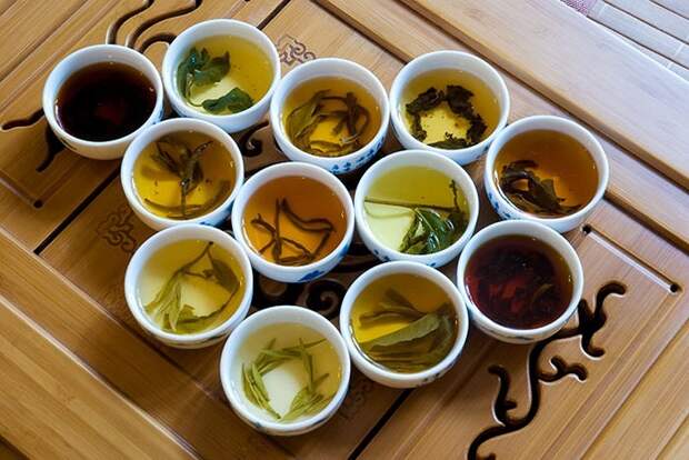 Оказывается, сортов чая не десятки, и даже не сотни. /Фото: chazhidao.org