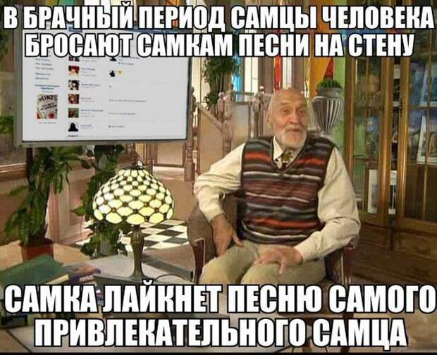Смешные картинки с подписями  картинки, прикол, юмор