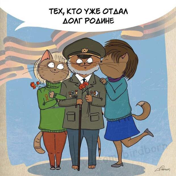 С наступающим 23 февраля! животные, коты, прикол, юмор