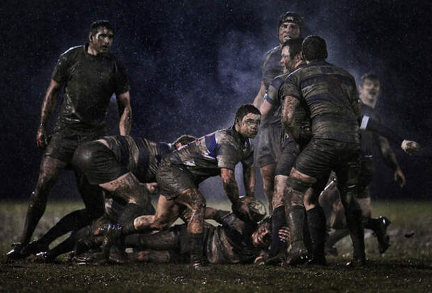 Лучшие фотографии мира на конкурсе World Press Photo 2012